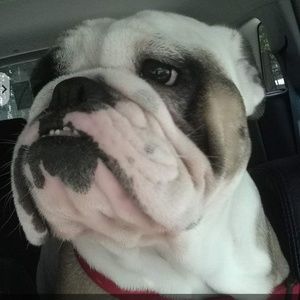 Meet your Posher, Julie